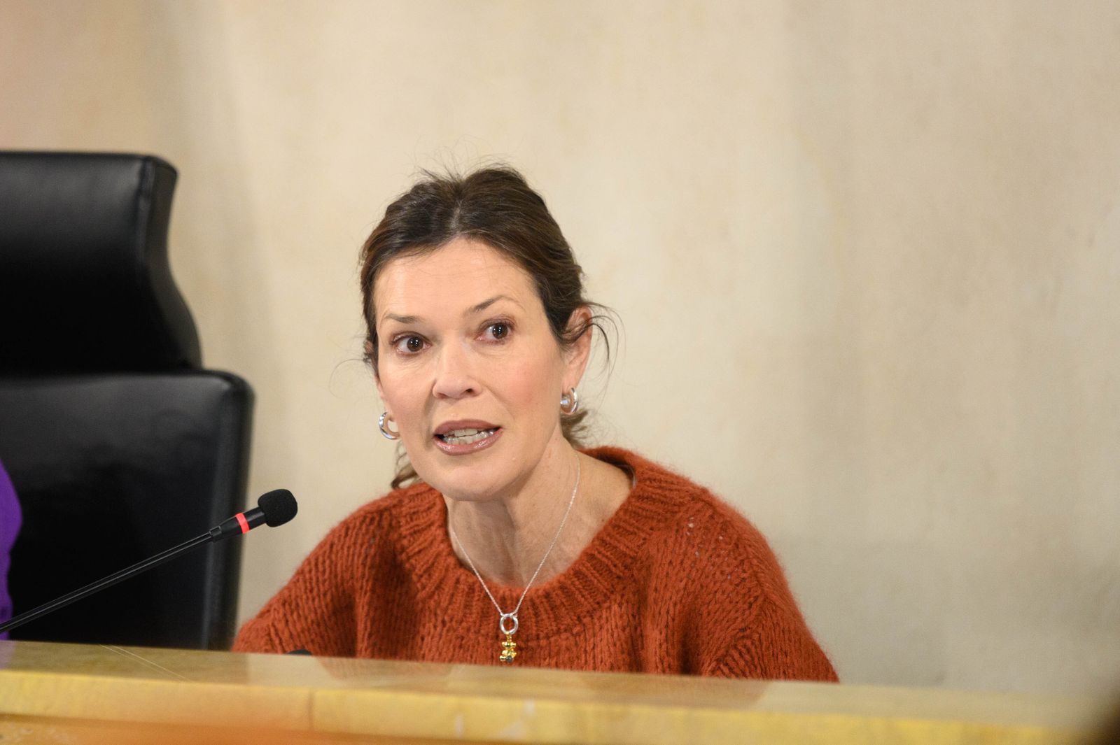 Ana Martínez Labella, en su intervención plenaria.