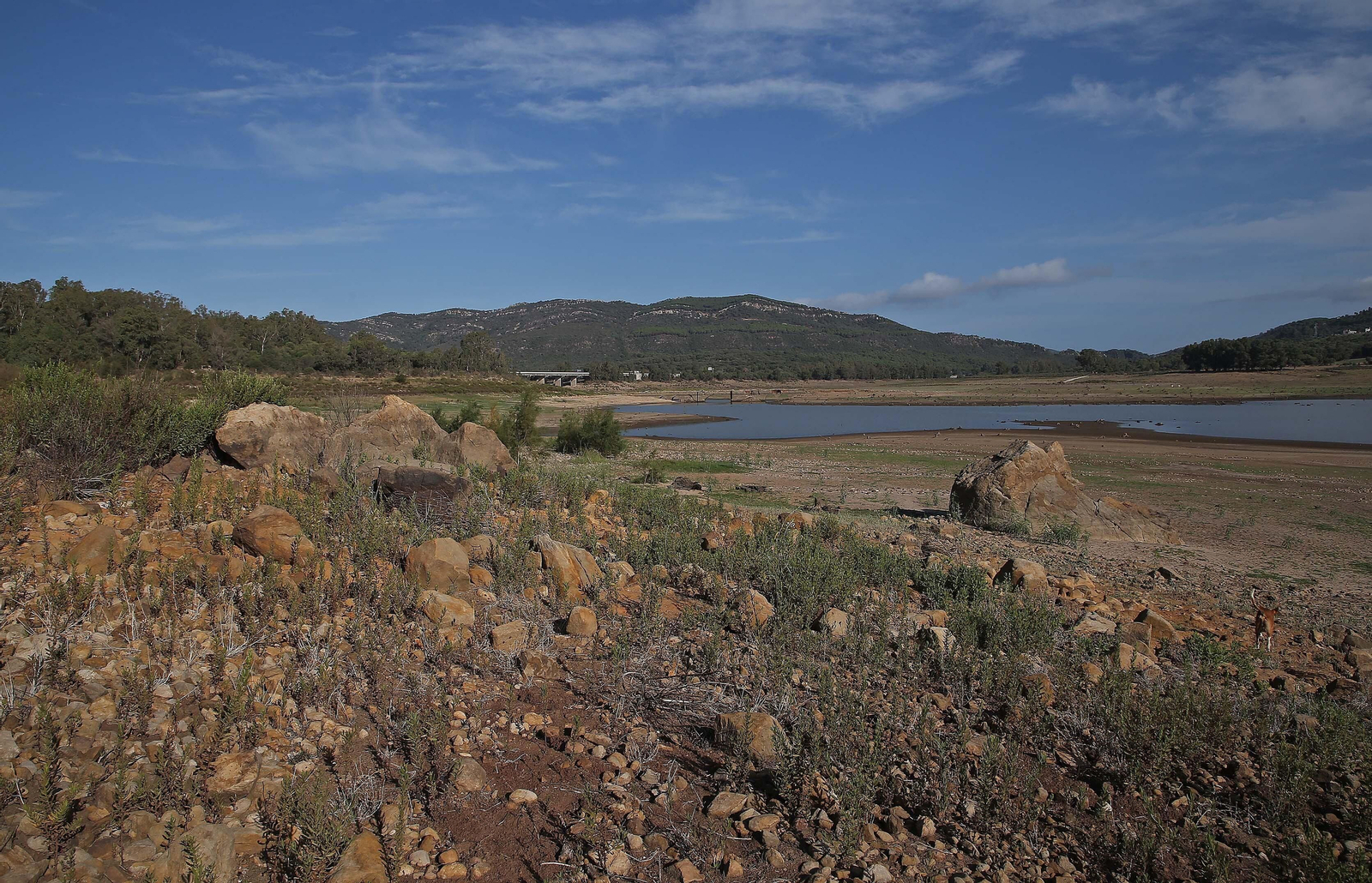 Imágenes del pantano de Charco Redondo en Los Barrios
