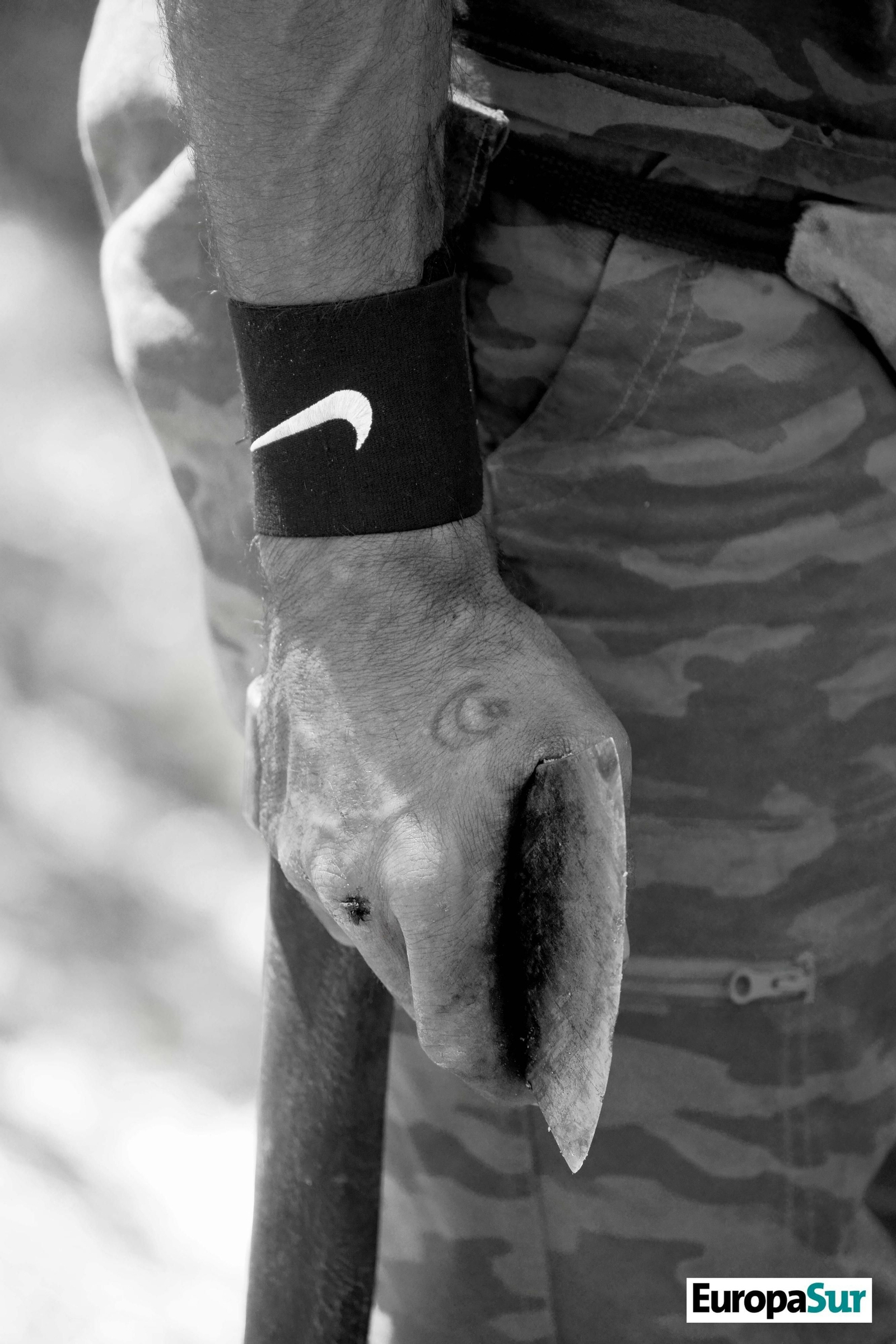 Fotografías de 'El último bosque', por David Coronado