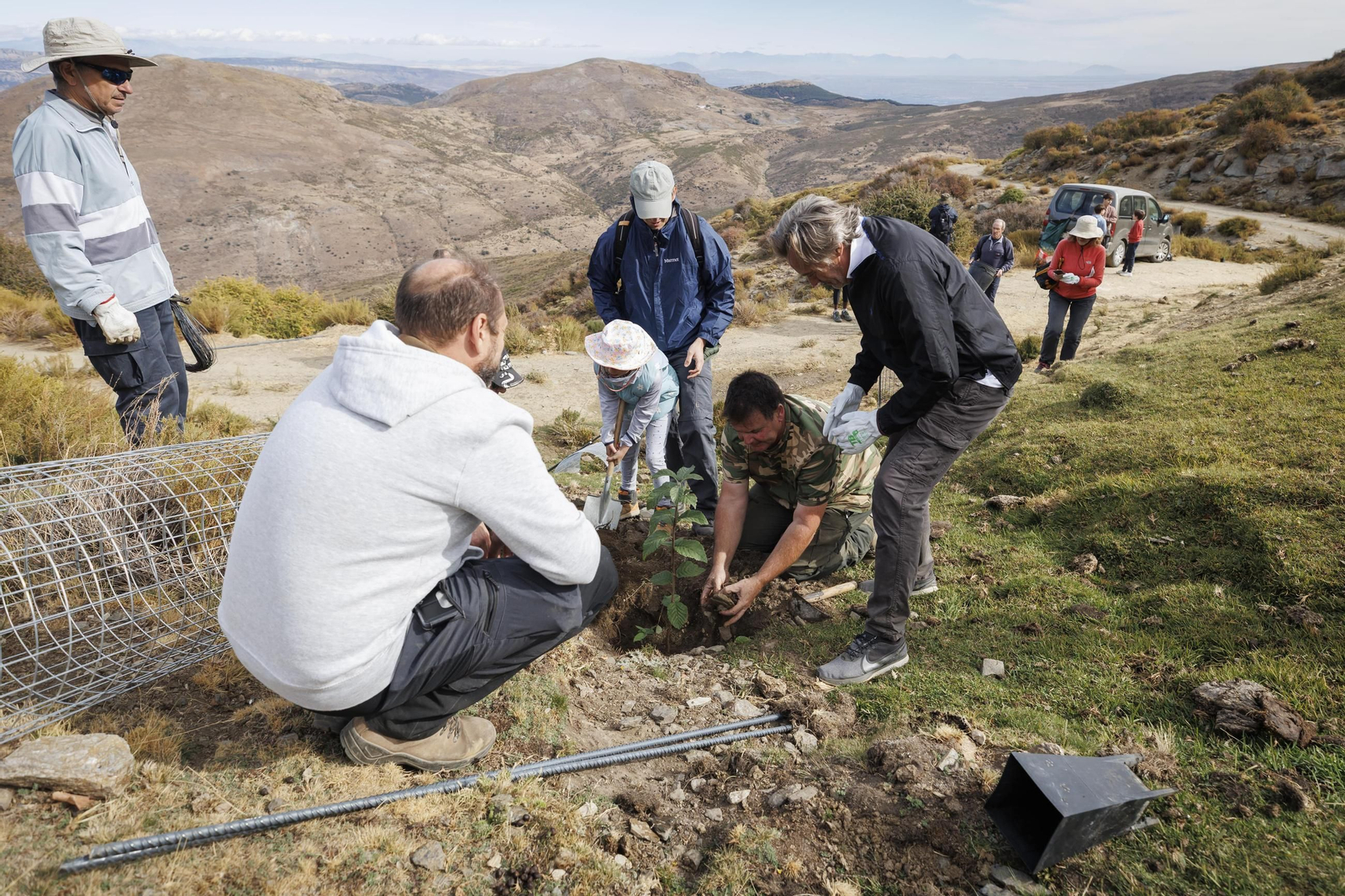 Varios operarios trabajan en la conservación de paisajes.