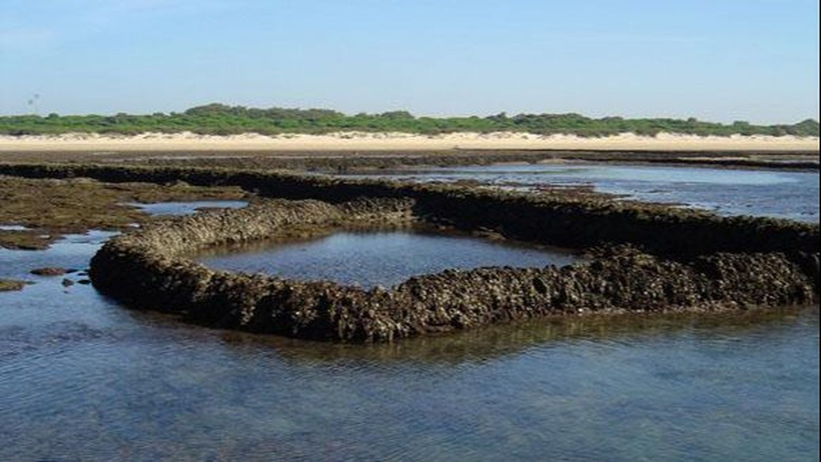 Corrales de Rota (Cádiz)