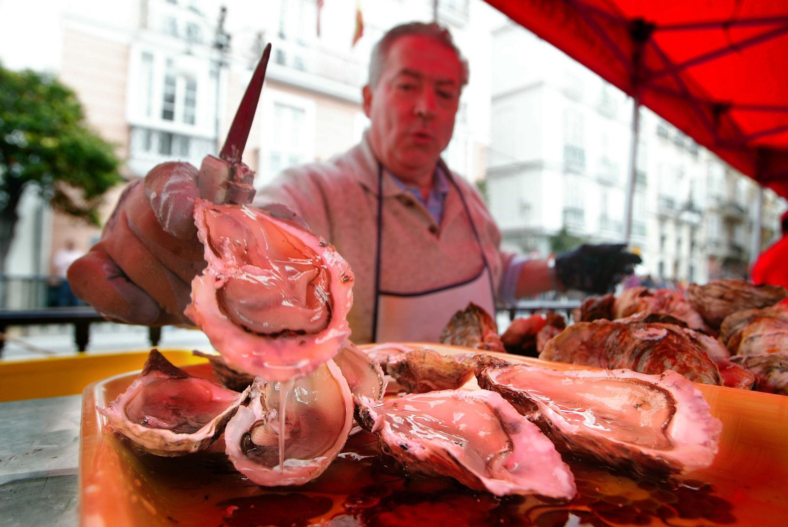 Las ostras u ostiones es de los productos que más han subido las últimas semanas.