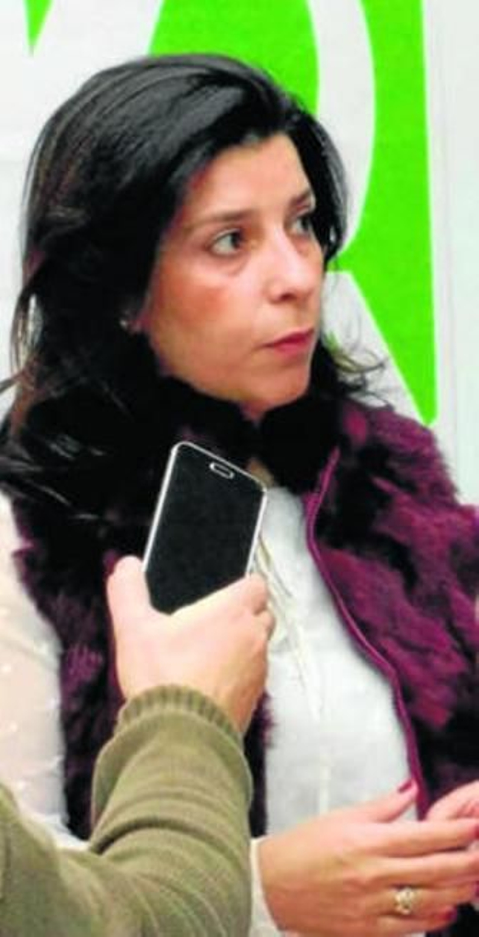 La vicesecretaria del PA.