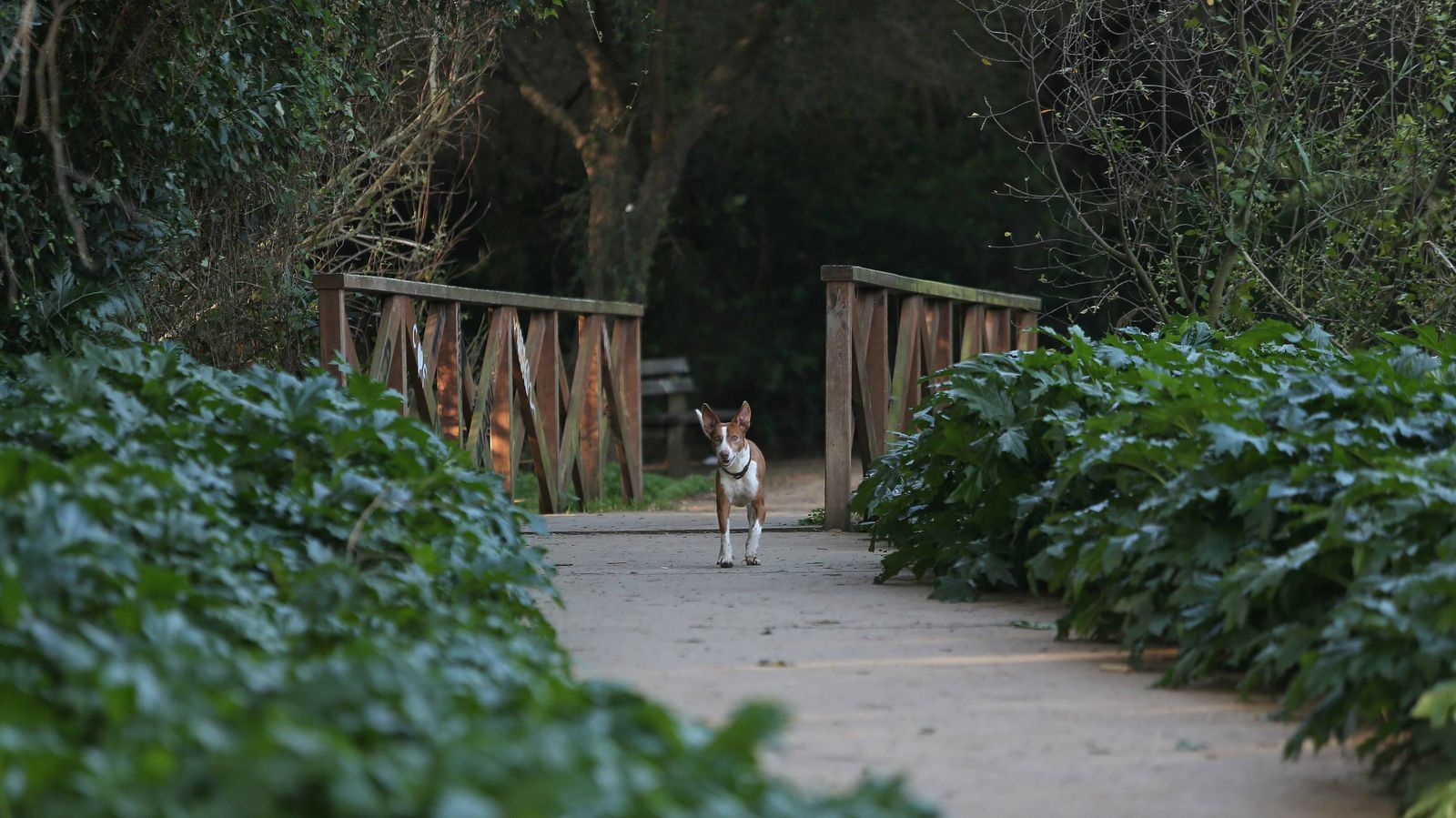 Las mejores fotos del parque fluvial del Río Pícaro