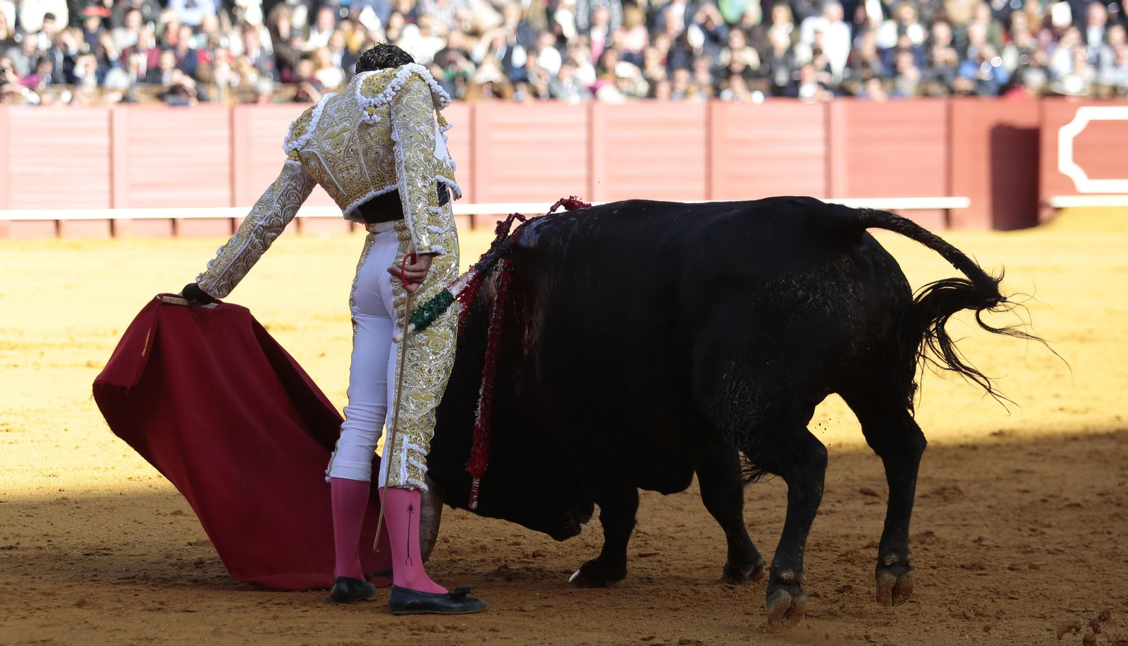 Alejandro Talavante.