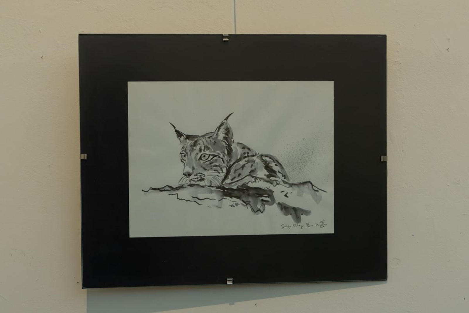 Exposición Los pinceles del lince ibérico, en imágenes