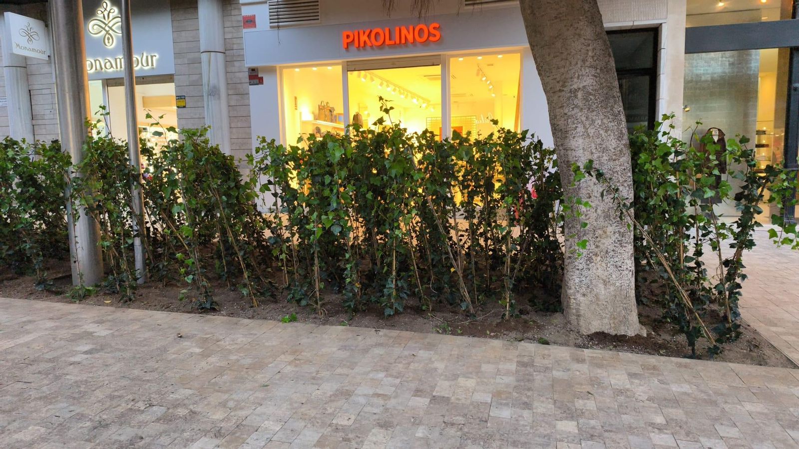 Comerciantes se quejan de que tapan fachadas.