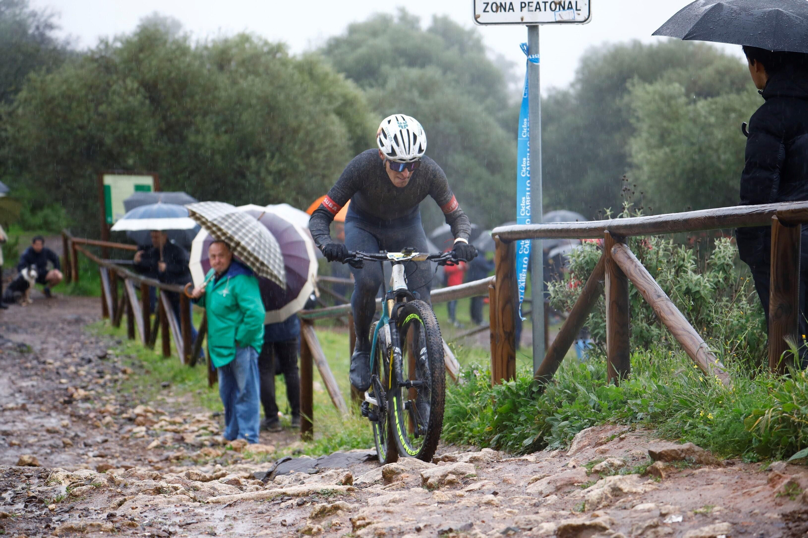Las mejores fotos de la MTB Guzmán El Bueno 2024