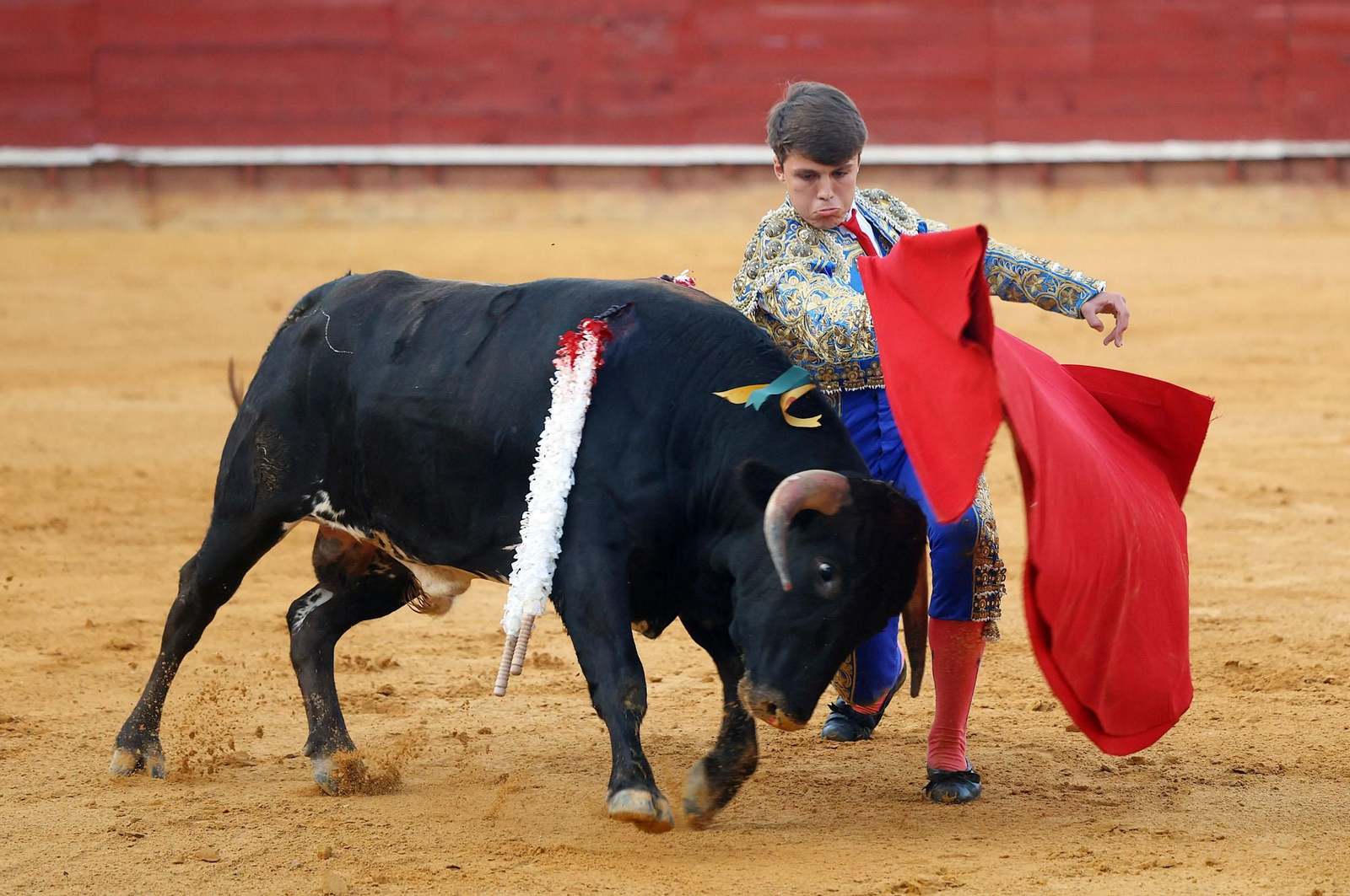 Toros La Merced 2024: Imágenes de la clase práctica del primer Festejo celebrado en la Plaza de Toros La Merced