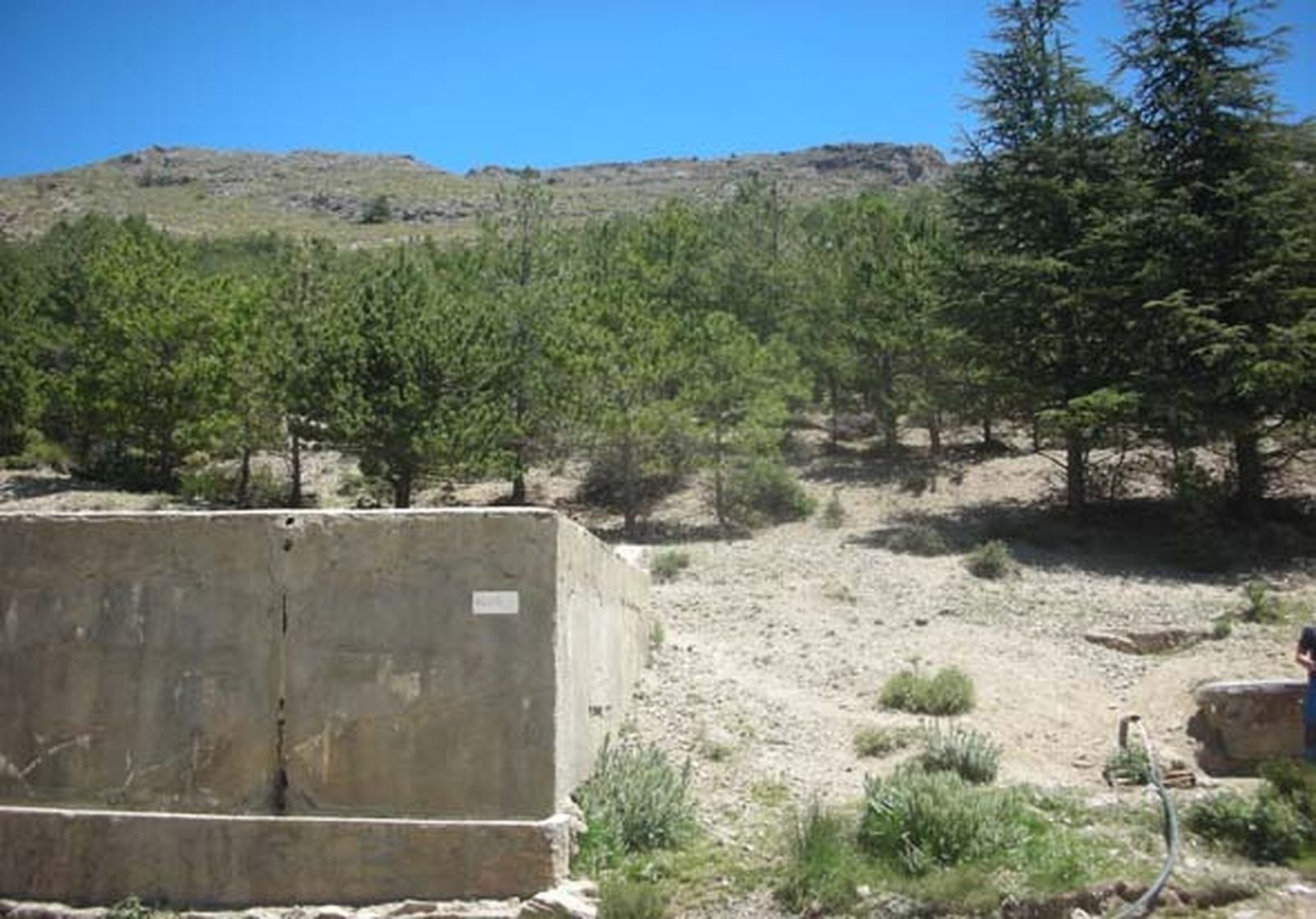 Paraje Los Carrascos en Gérgal