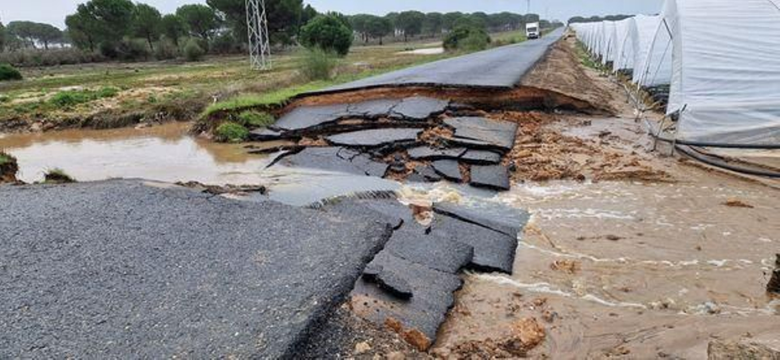 Hundimiento en un tramo de la carretera que une Moguer con Mazagón.