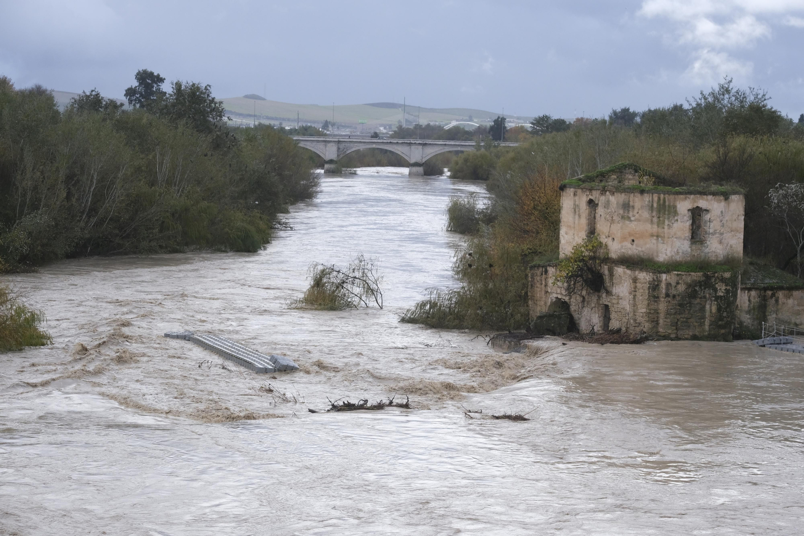La crecida del río Guadalquivir tras las lluvias en Córdoba, en imágenes