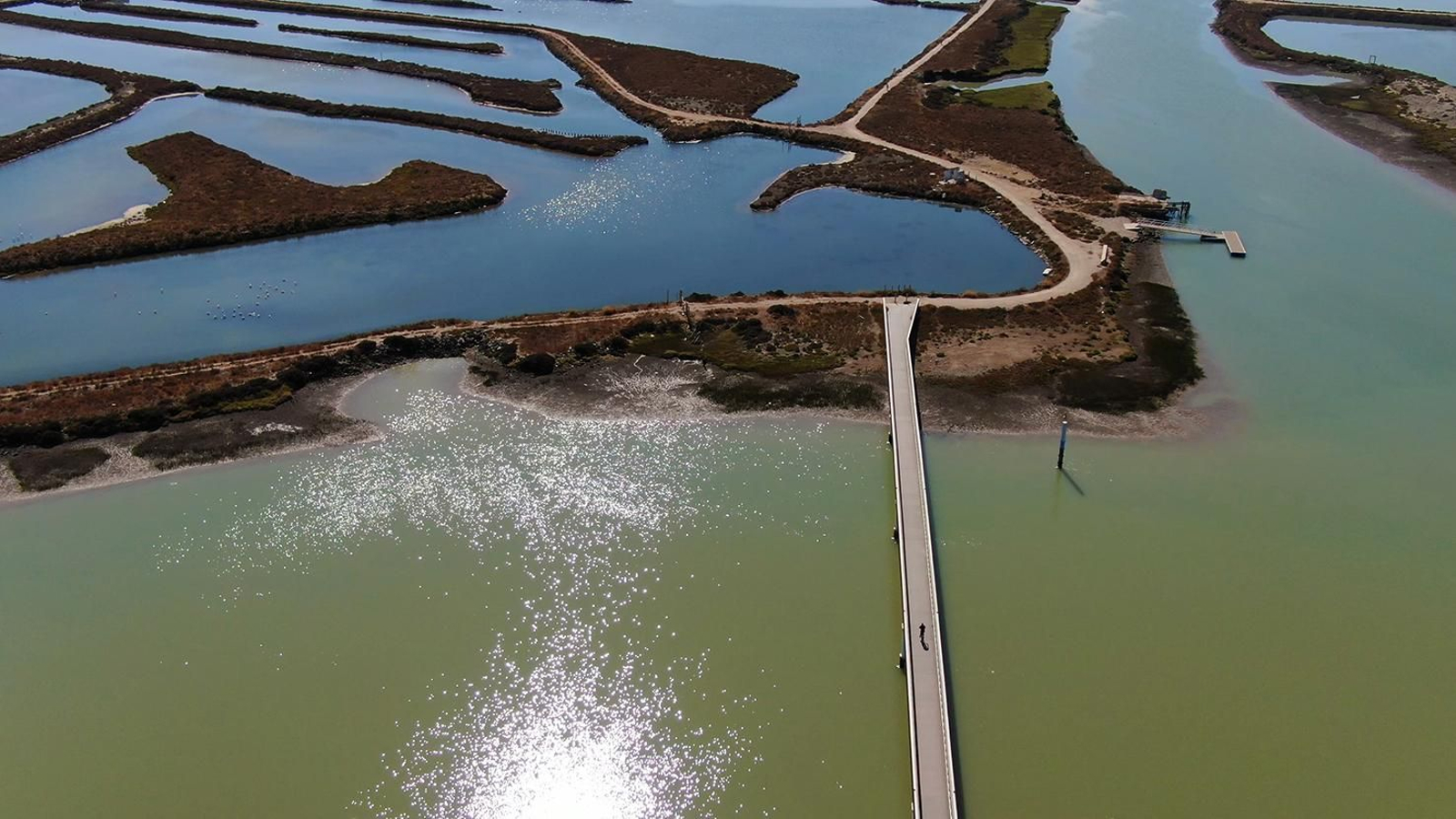 Salinas de la Bahía de Cádiz