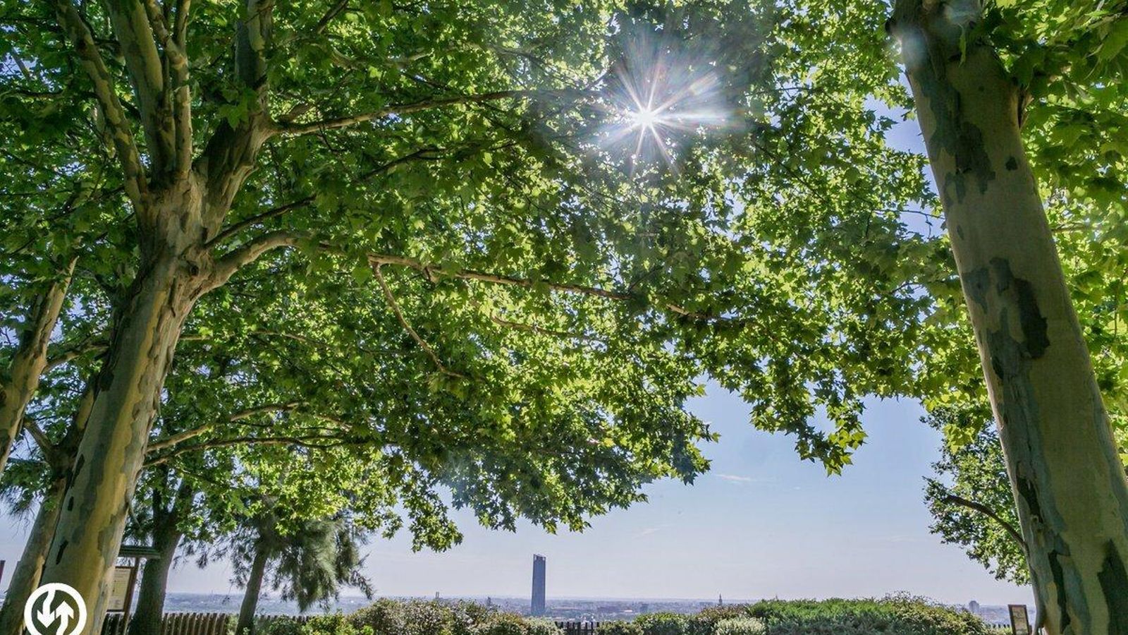 Vista de Sevilla desde el Jardín Botánico El Arboreto.