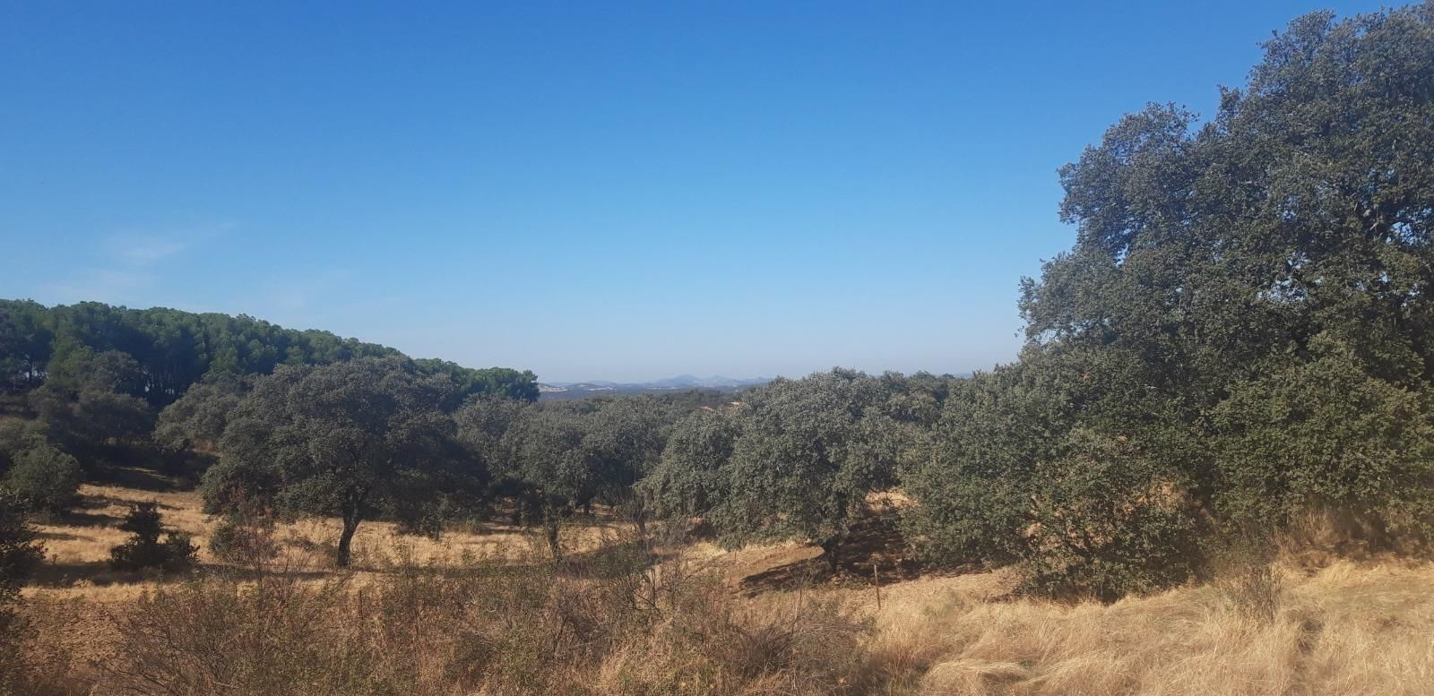 Las fotos de la ruta del Azulaque, en El Pedroso