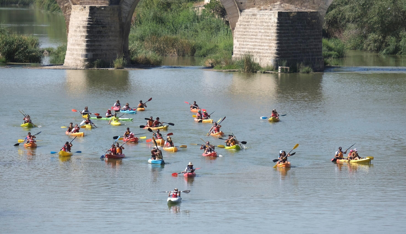 La ruta del caimán por el río Guadalquivir, en imágenes