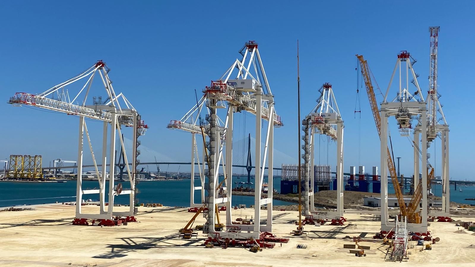 Las seis gigantescas grúas ya montadas, sobre la superficie de la nueva terminal de contenedores del puerto de Cádiz.