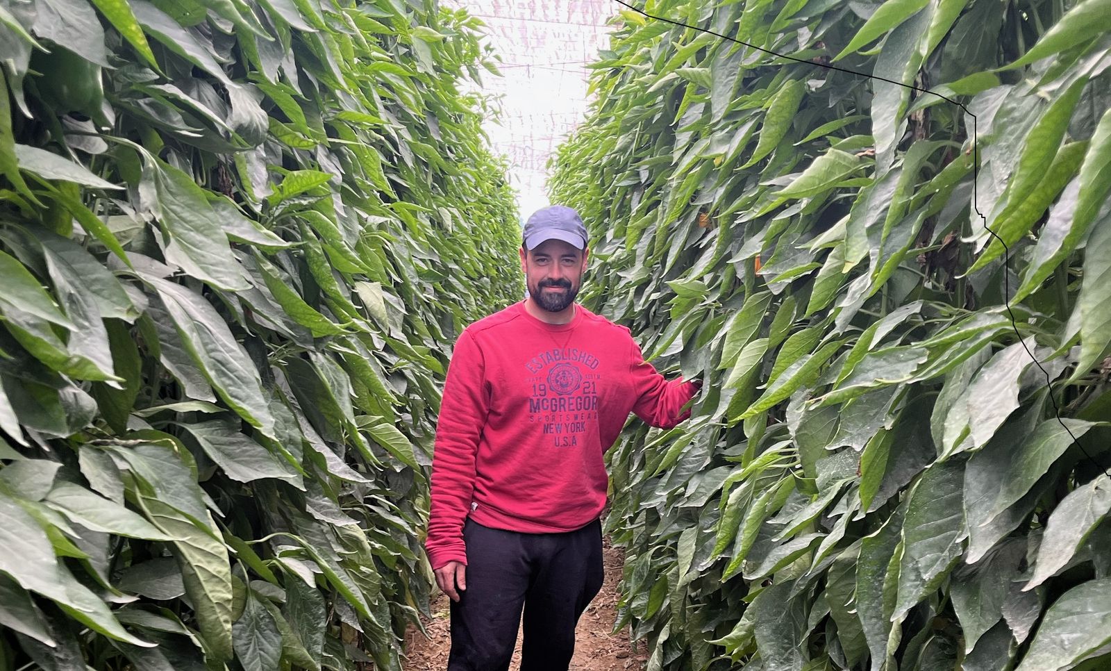 Francisco González en la finca de Biovalan