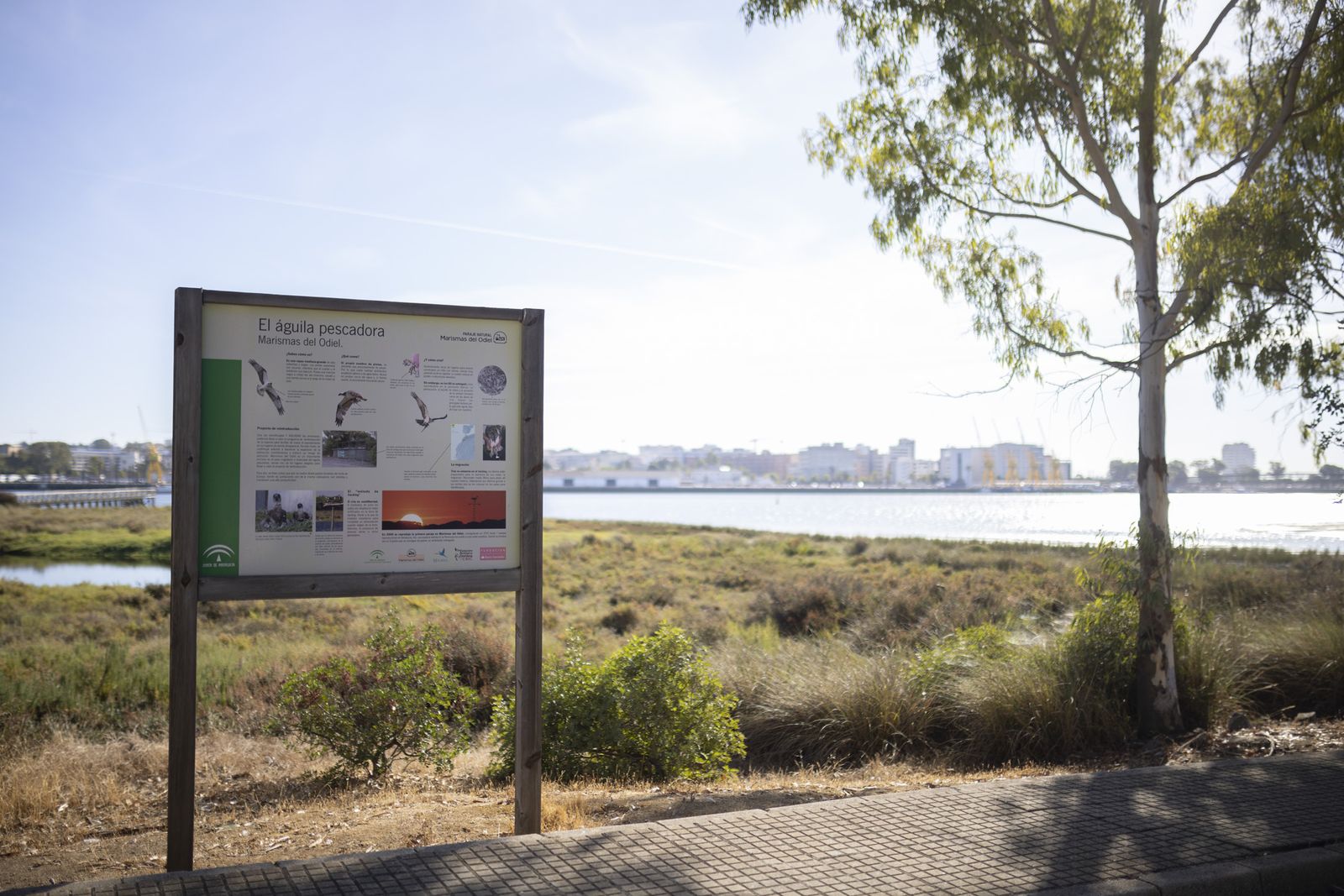 Imágenes del viernes 9 de septiembre en Huelva