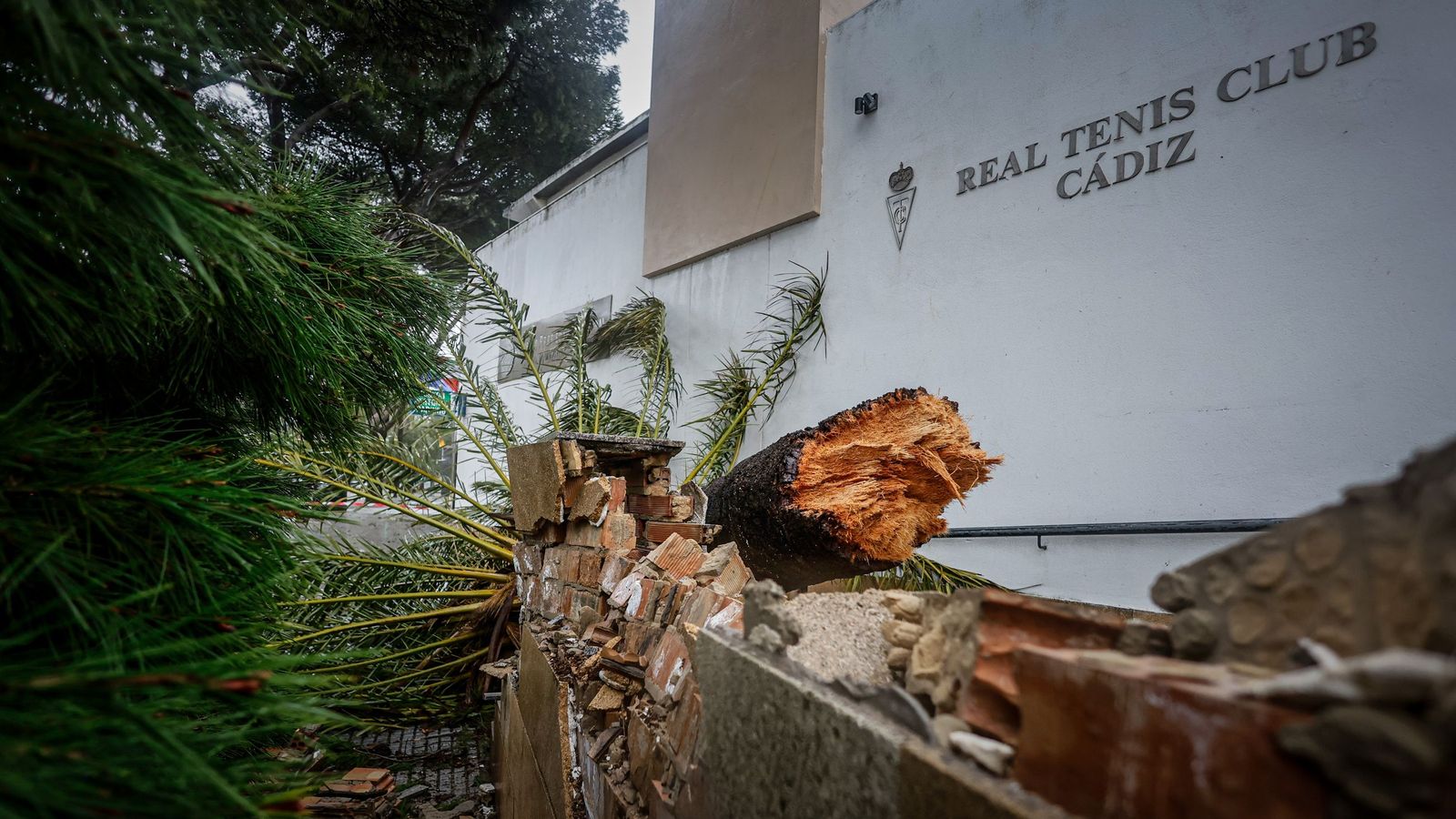 Imágenes de las incidencias y destrozos provocados por la borrasca Kristin en Cádiz