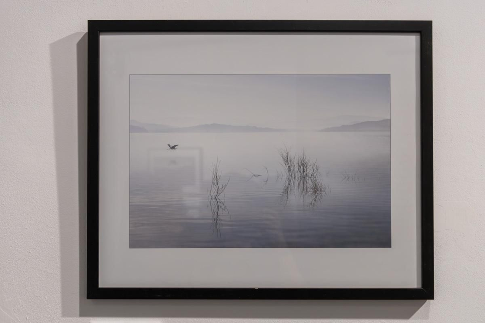 Exposición La Tierra, corazón de la vida, en imágenes
