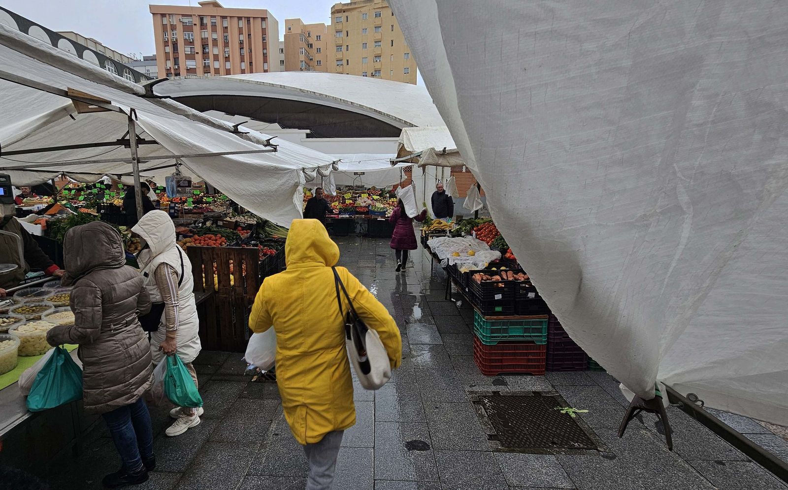 Fotos de los efectos de la borrasca Leonardo en Algeciras