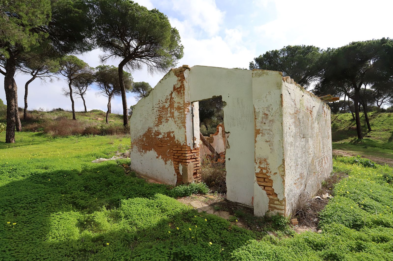 Imágenes de Fuentepiña, casa de Juan Ramón Jiménez en Moguer