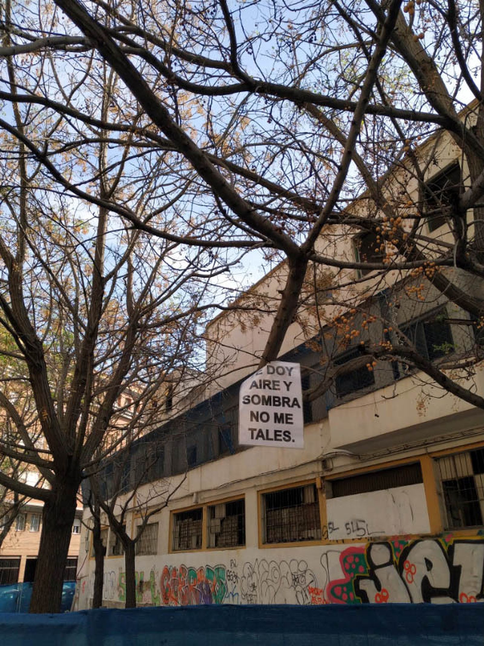Carteles reivindicativos en los árboles que se quieren talar.