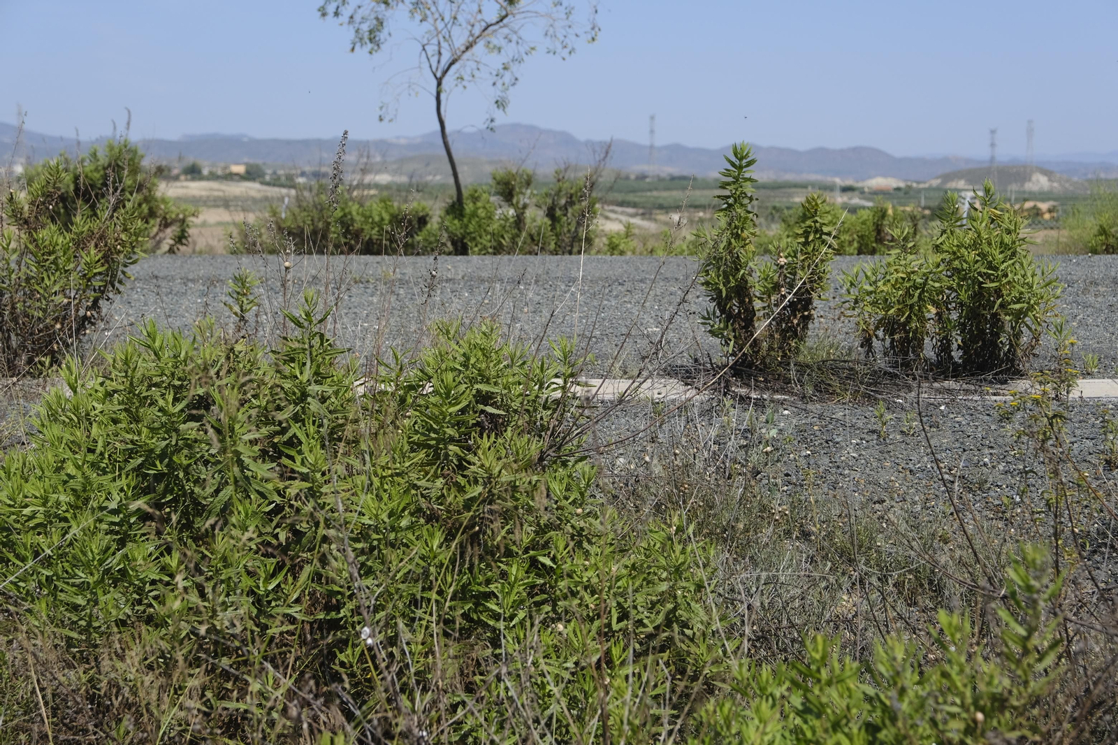 Fotogalería obras del AVE en la provincia de Almería