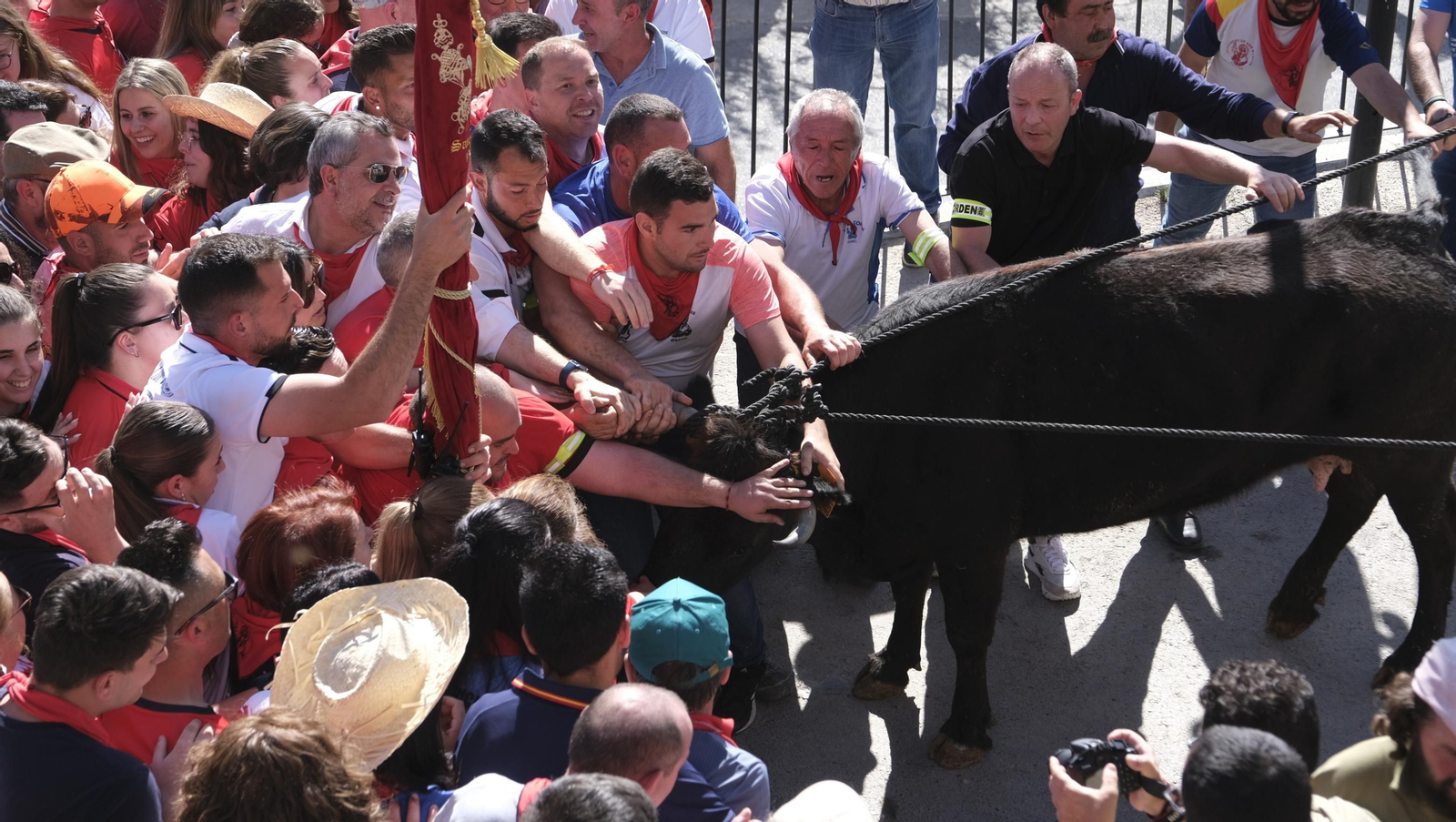 Imágenes de los toros ensogaos y San Marcos, en las Fiestas de Ohanes