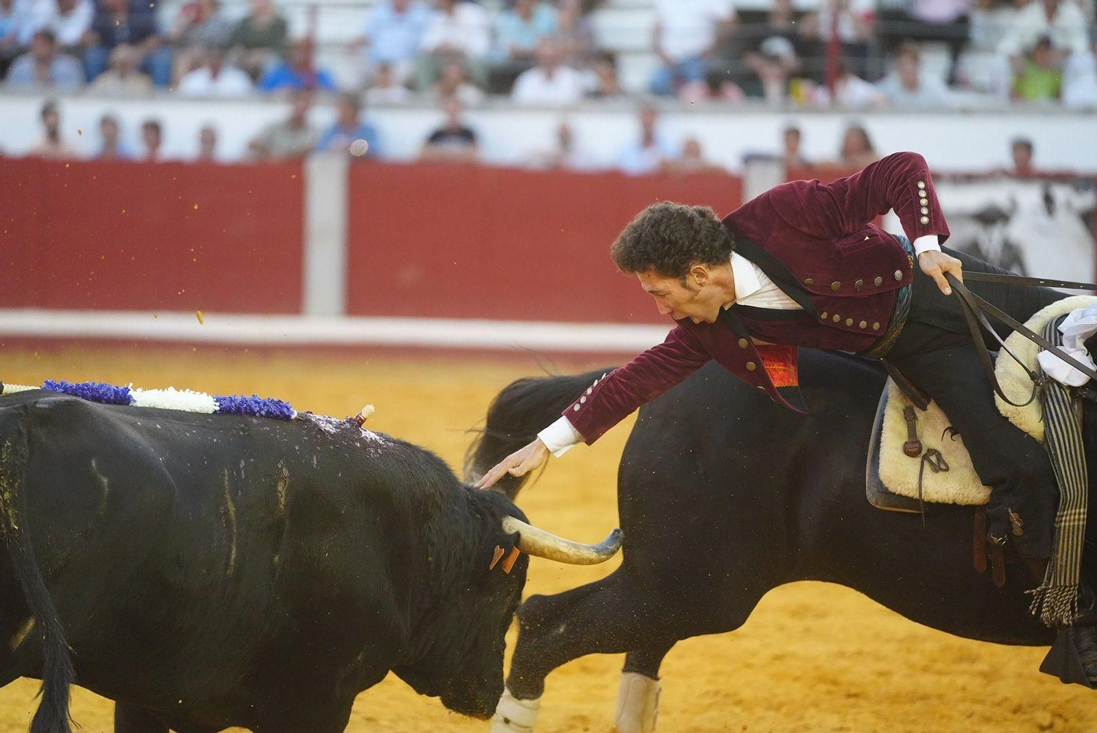 Las mejores fotos de la faena triunfal de Andy Cartagena, Leonardo y Lea Vicens en Pozoblanco Las mejores fotos de la faena triunfal de Andy Cartagena, Leonardo y Lea Vicens en Pozoblanco