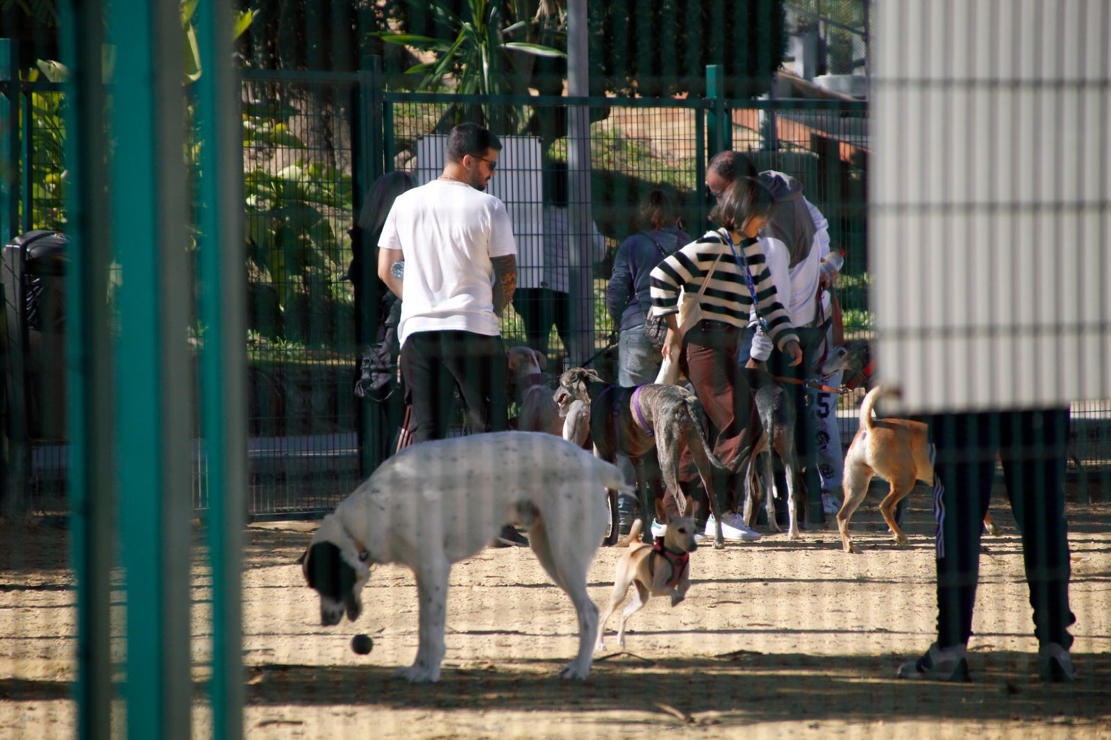 Las imágenes más destacadas del martes 7 de noviembre en Huelva
