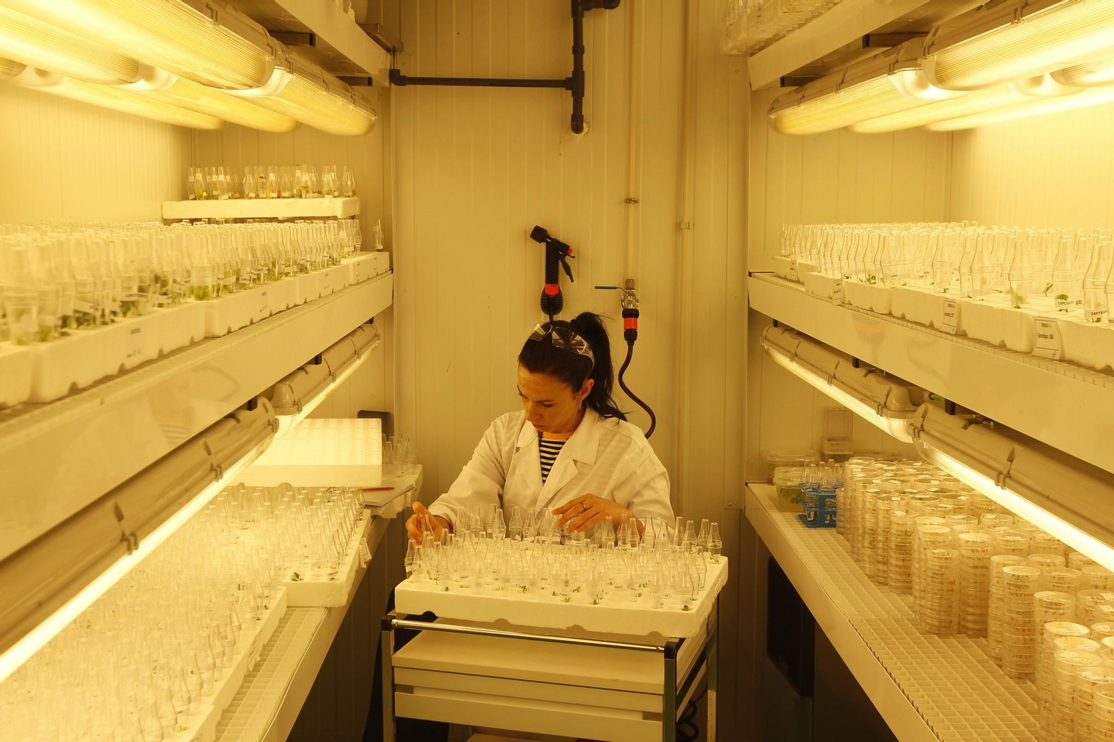 Fotogalería presentación resultados Bayer