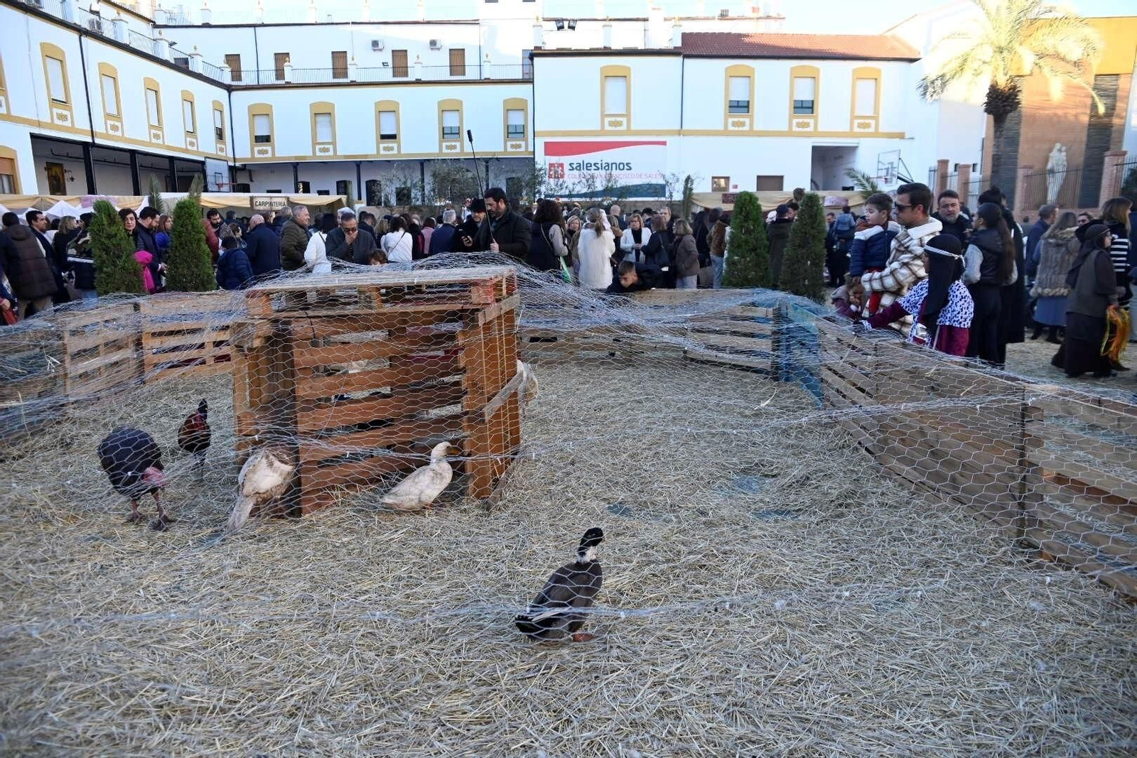 El belén viviente de Salesianos de Córdoba, en imágenes