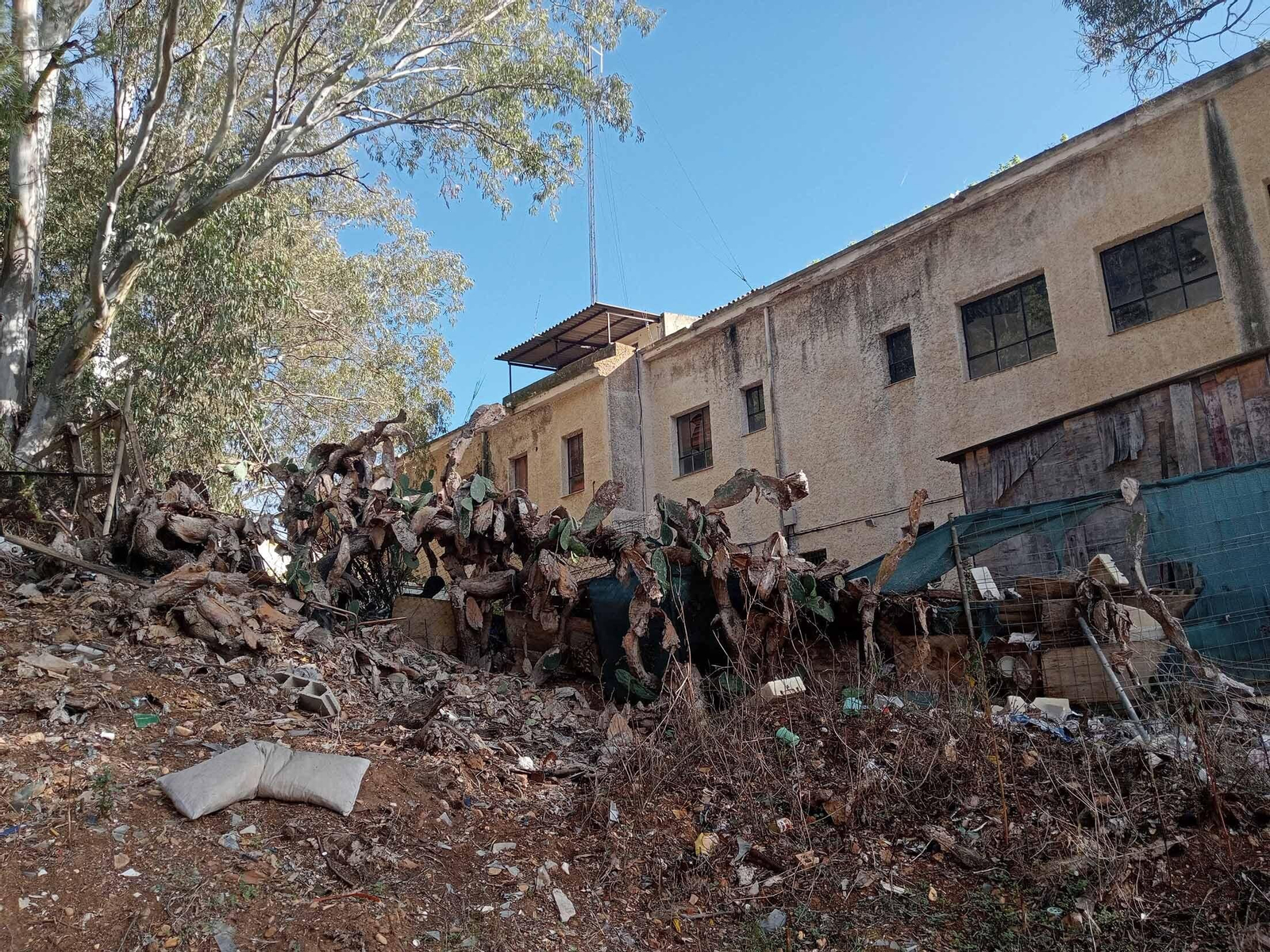 Barrio a Barrio: Imágenes de San Antonio