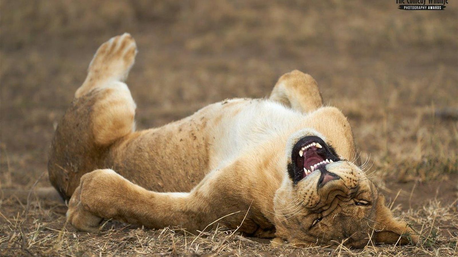 Y tú te haces llamar fotógrafo