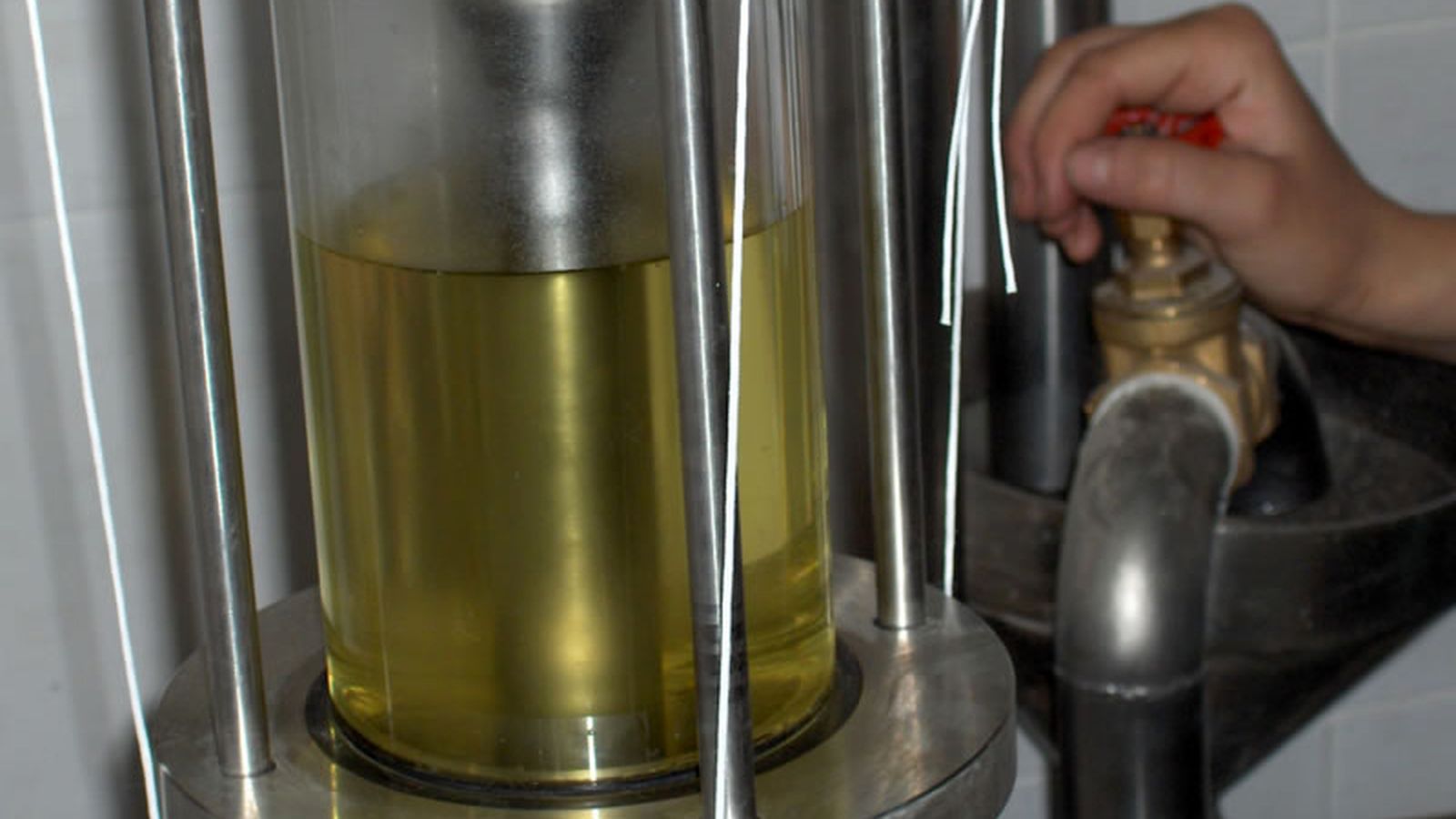 El aceite, una vez prensada la jara.