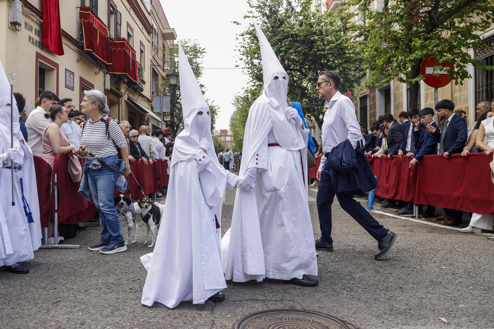 Las imágenes de la Hermandad de la Paz en la Semana Santa de Sevilla de 2025