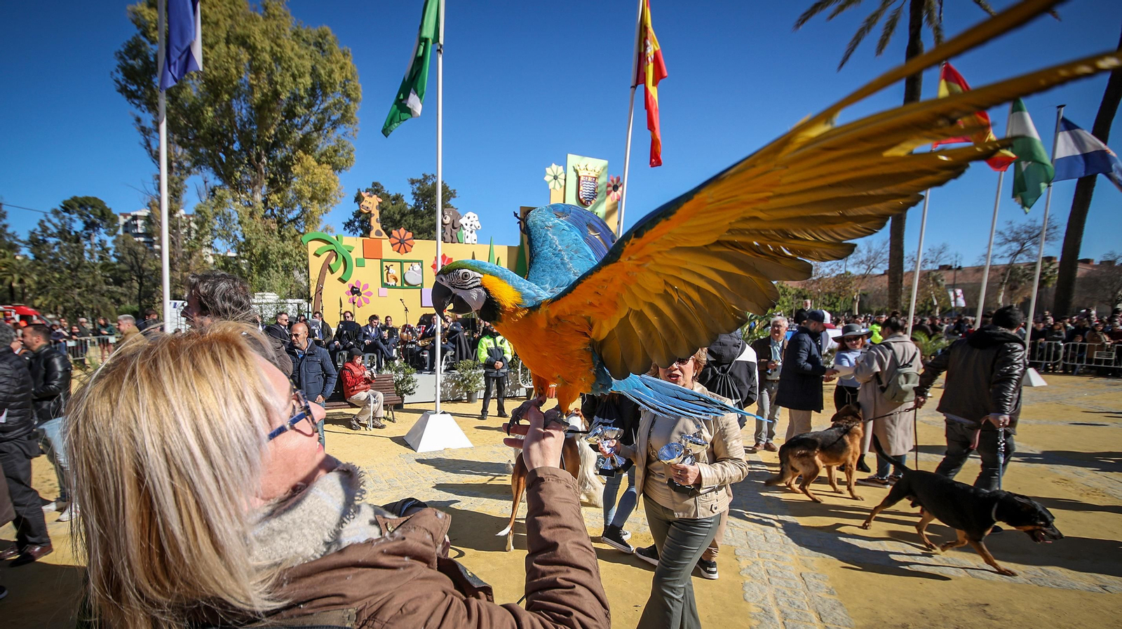Búscate en San Antón de Jerez
