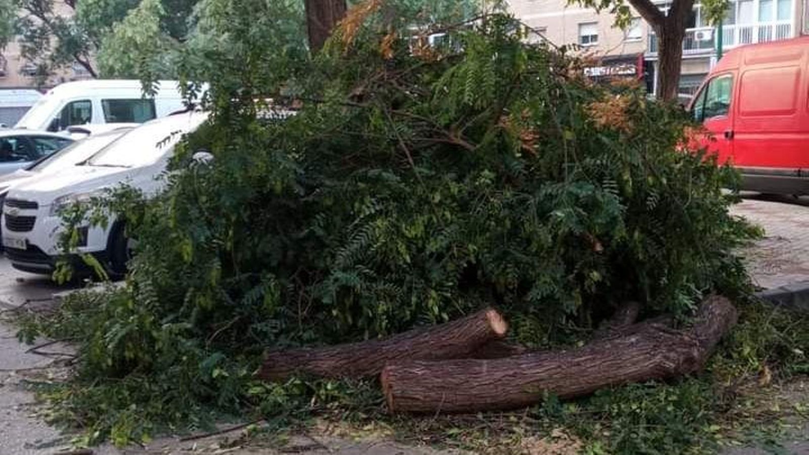 Esta mañana seguían los restos de la caída en la calle. Esta mañana seguían los restos de la caída en la calle.
