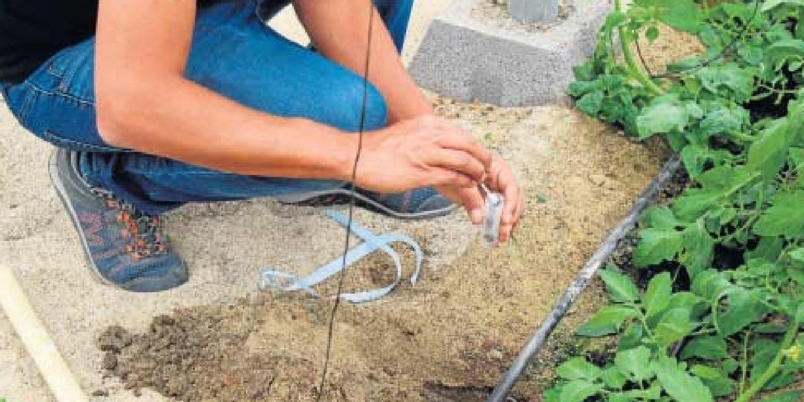 CASI lidera el cambio hacia una agricultura más ecológica