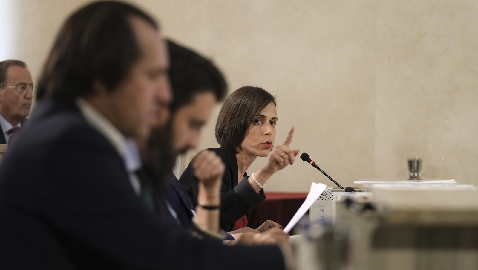 Imágenes del pleno extraordinario del Ayuntamiento de Almería