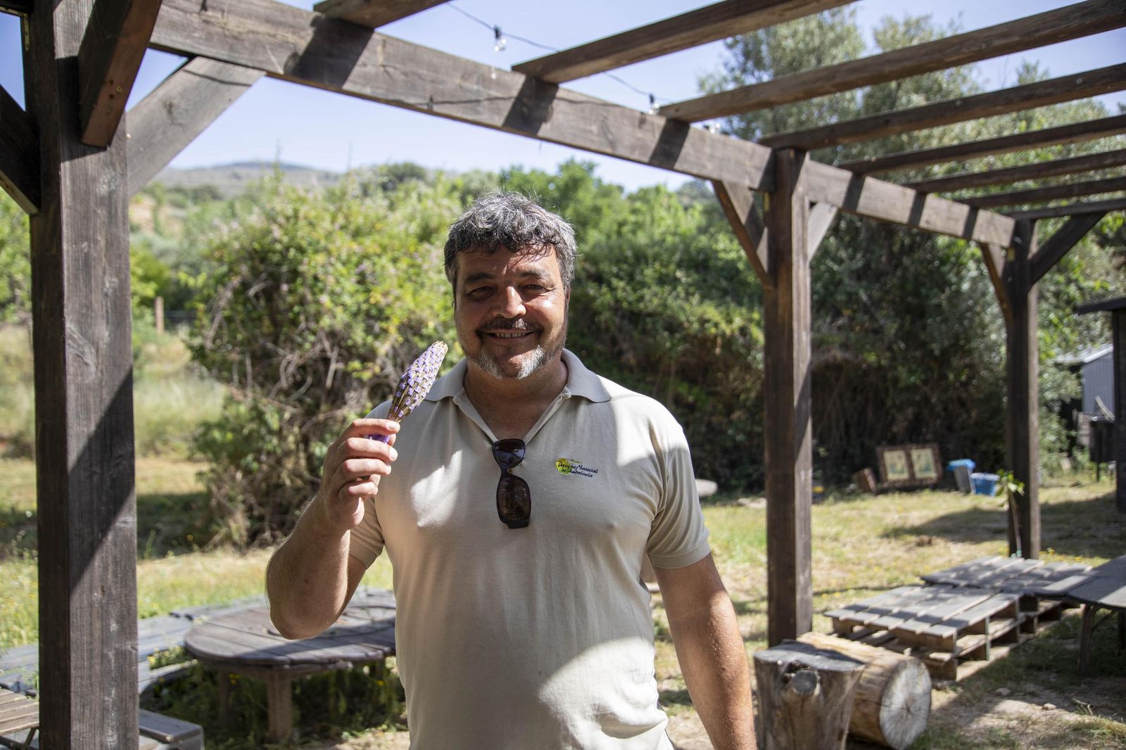 El jardin de lavandas en Benecid