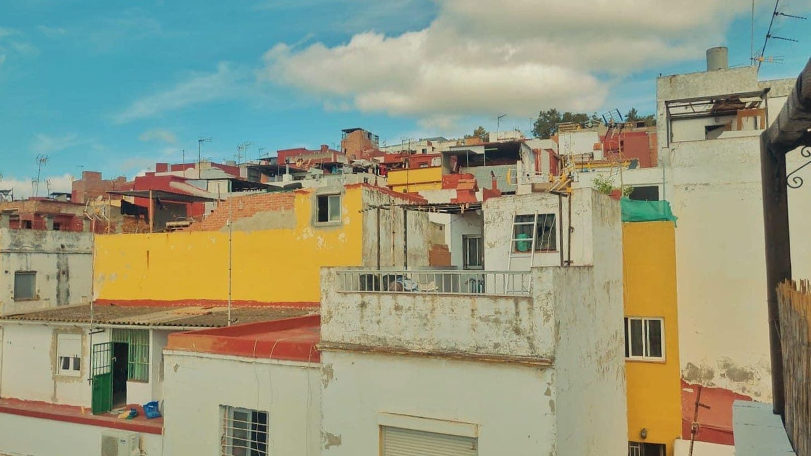 Viviendas en La Bajadilla, donde el escribano sahariano ha nidificado este verano. Viviendas en La Bajadilla, donde el escribano sahariano ha nidificado este verano.