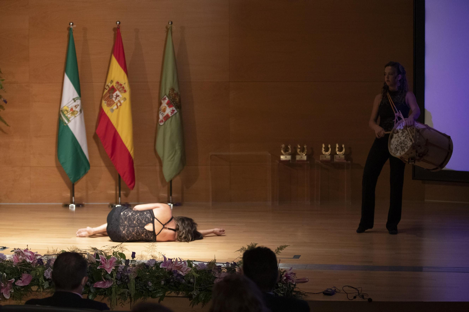 Fotos: los premiados por la Igualdad por la Diputación de Granada