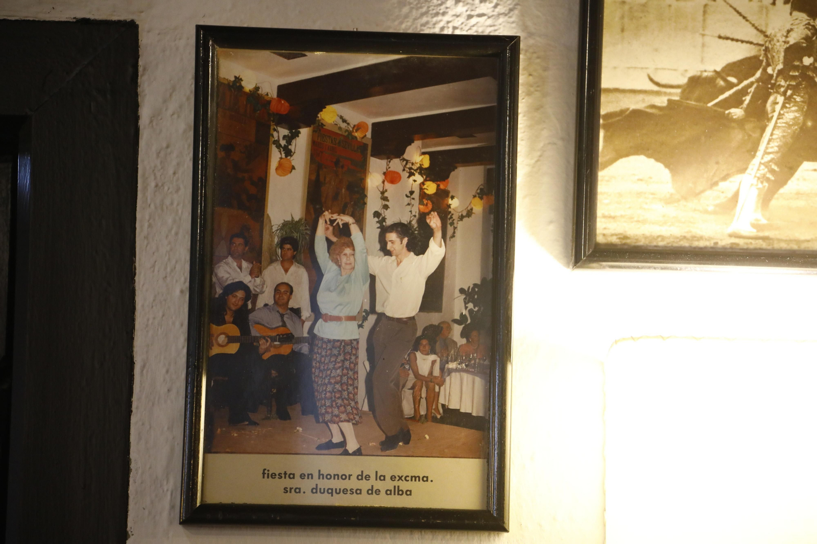 Bodegas Campos, el auténtico museo de la fama de Córdoba, en fotos