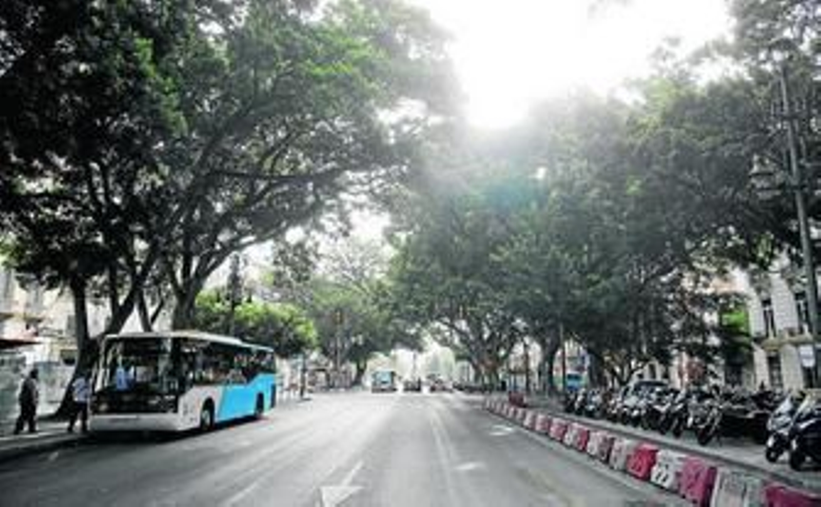 Eje central de la Alameda Principal tras el inicio de los trabajos del Metro en el lateral norte.