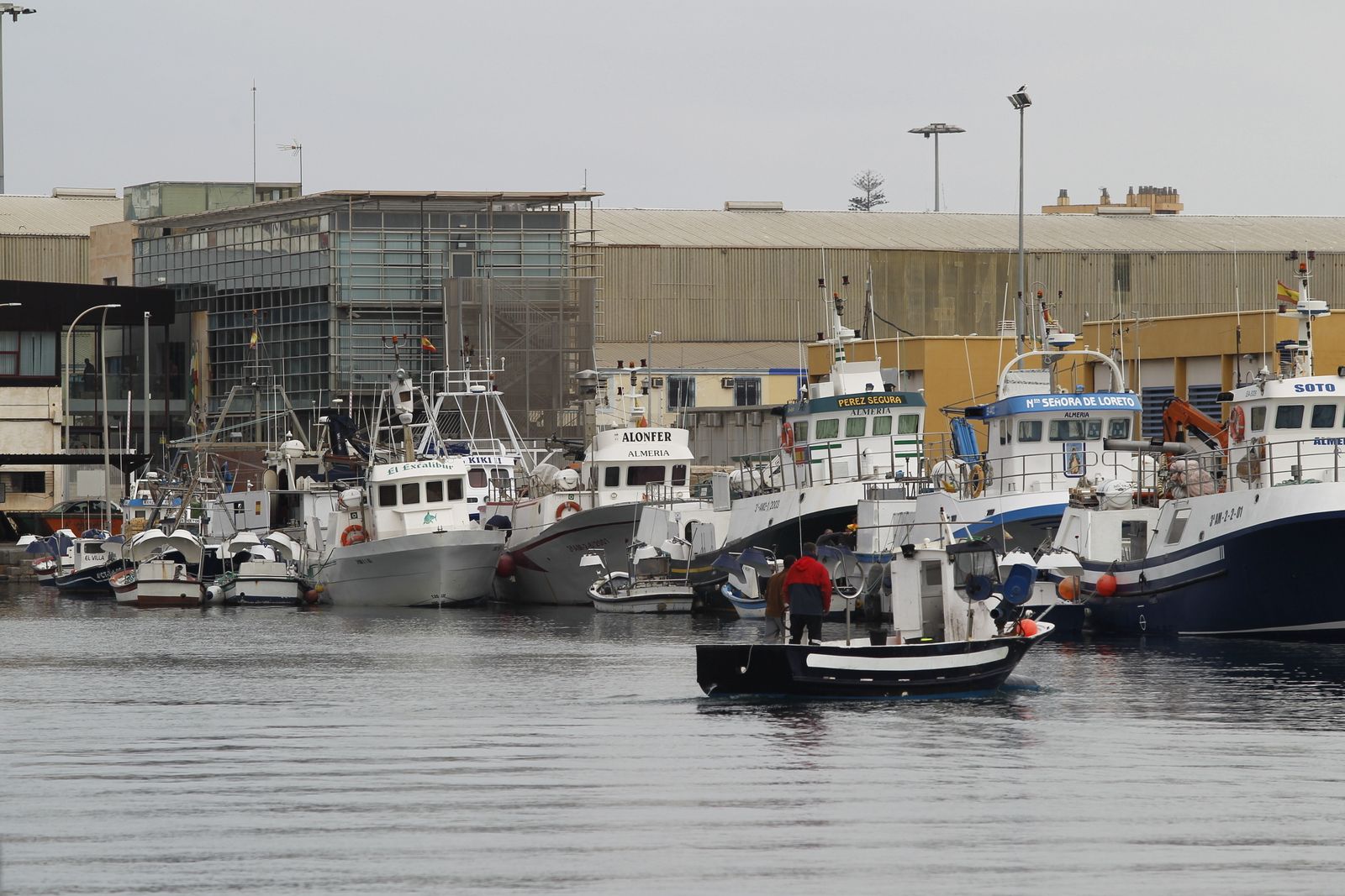 La flota de cerco almeriense durante una parada biológica.