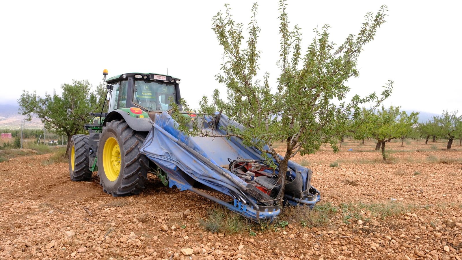 La Comarca de Los Vélez cuenta con una importante cantidad de almendros certificados en ecológico.