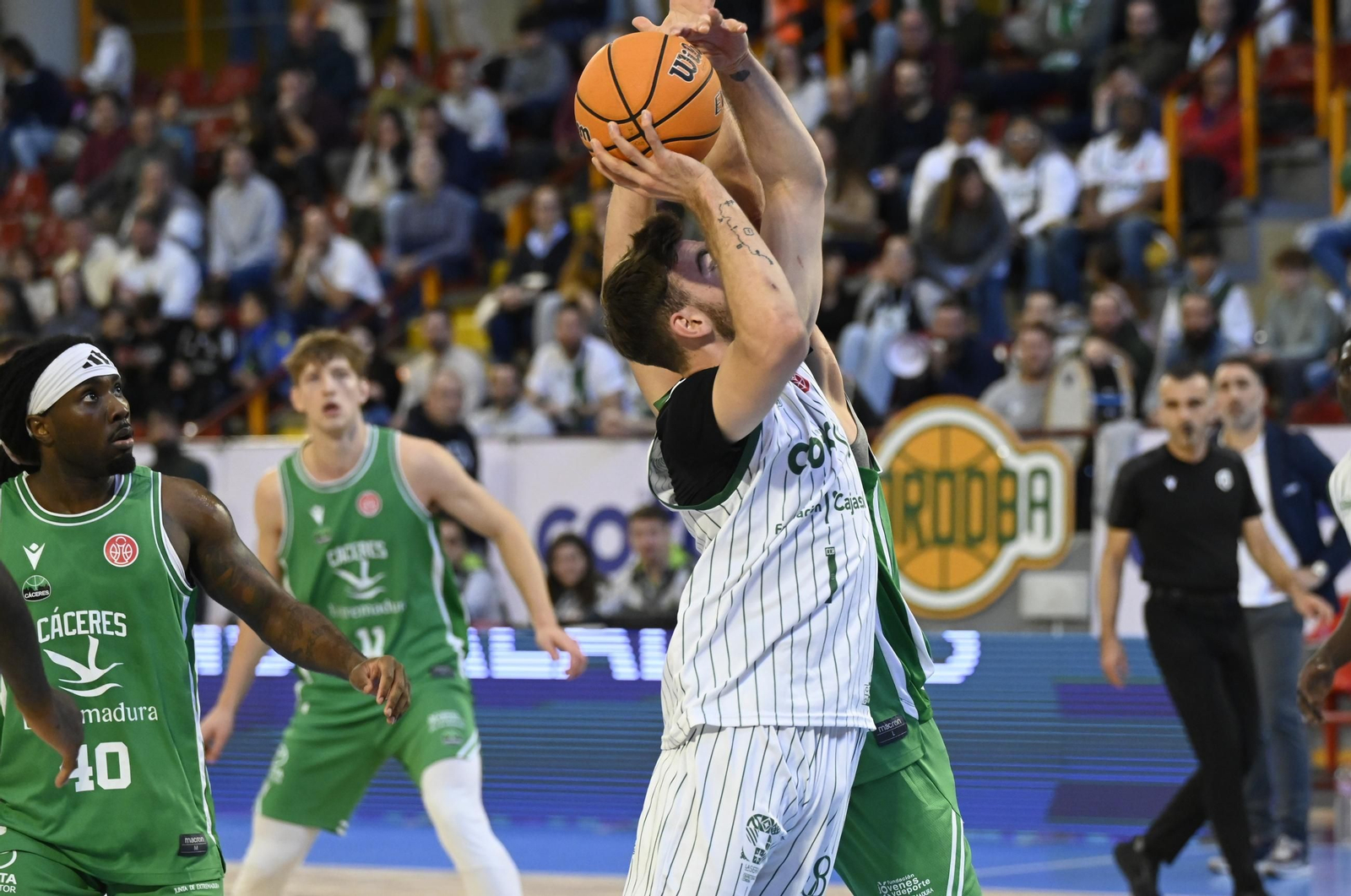 Las mejores fotos del ambiente en el Coto Córdoba - Cáceres Patrimonio de la Humanidad
